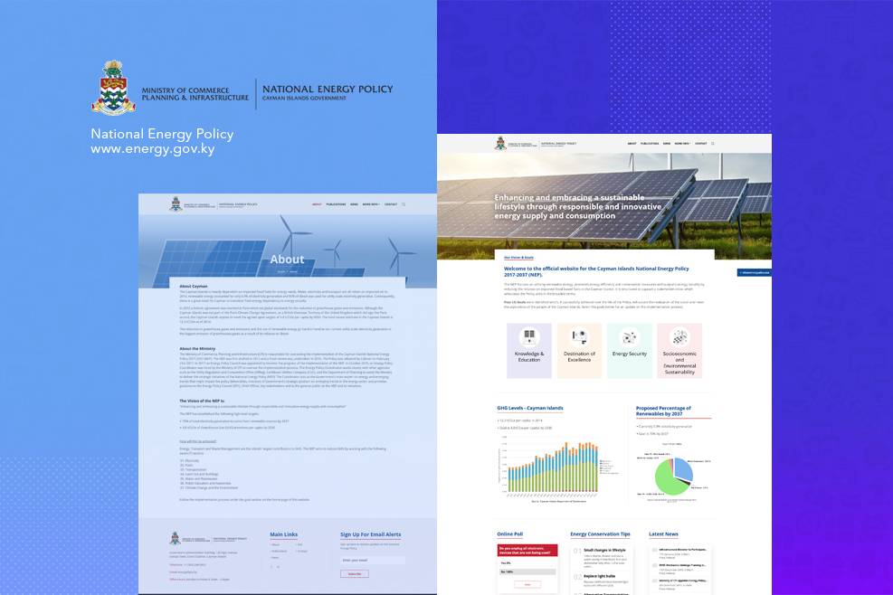 National Energy Policy