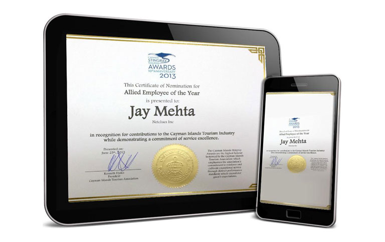 Stingray Awards 2013 - Jay Mehta From Netclues Nominated For The 'Best Employee Of The Year'