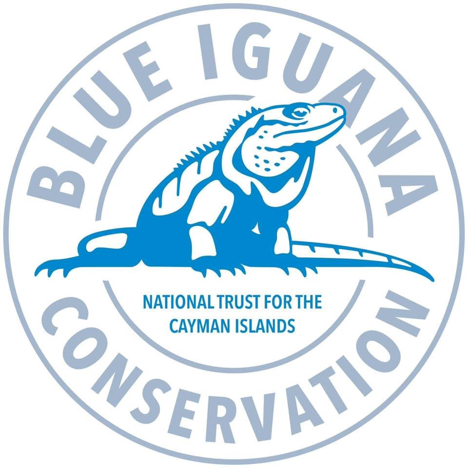Blue Iguana Conservation