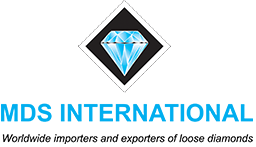 MDS International