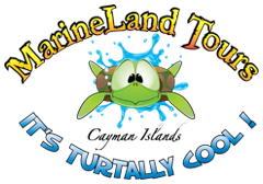 Mairneland Tours